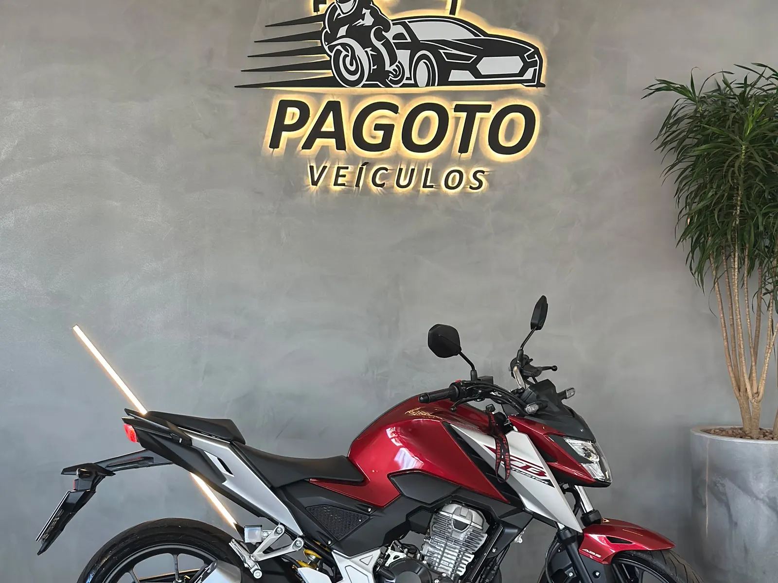 Honda CB300F Twister ABS